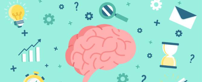 brain image