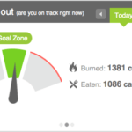 calories in vs calories out gauge