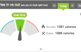 calories in vs calories out gauge