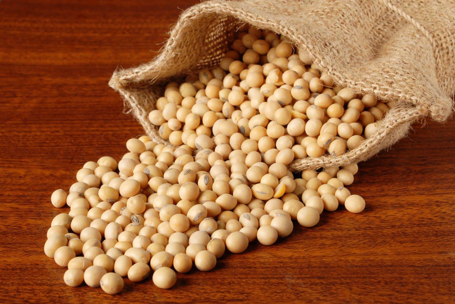 soybeans